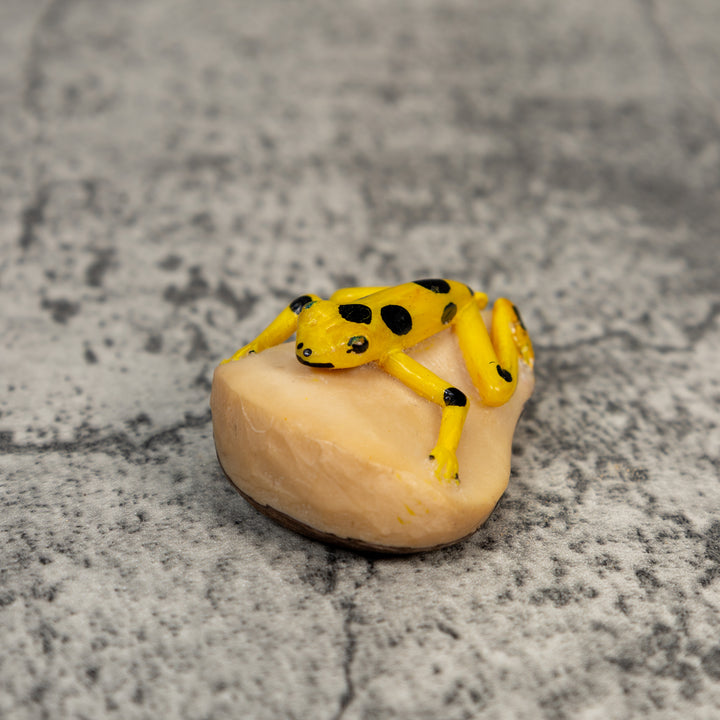Golden Frog Tagua Carving