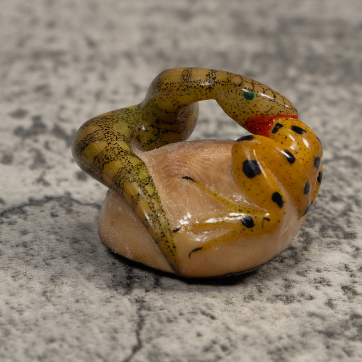 Vintage Snake Eating Frog Tagua Carving