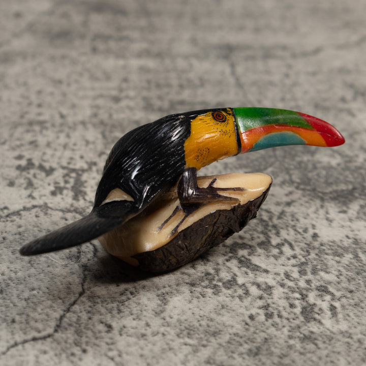 Toucan Parrot Bird Tagua Carving