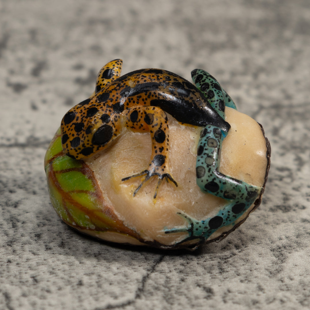 Vintage Blue Gold And Black Poison Dart Frog Tagua Carving
