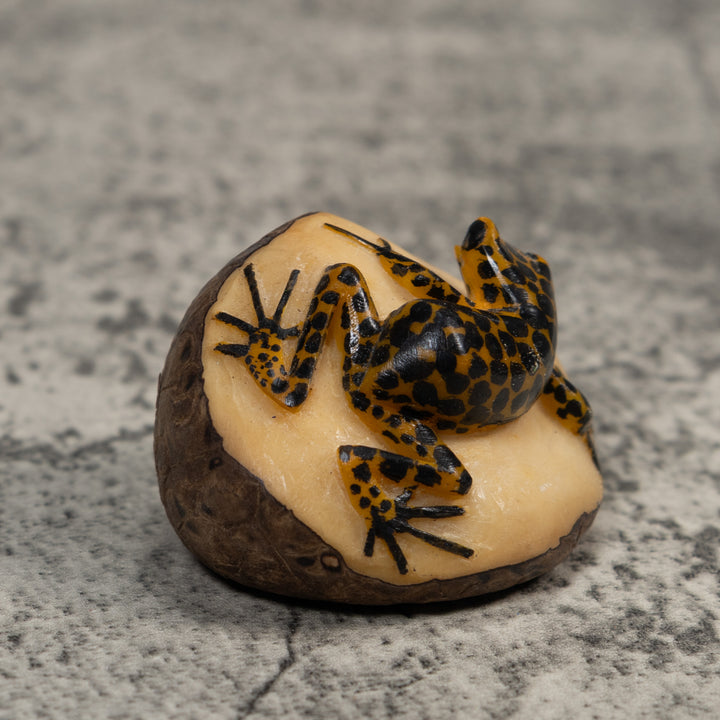 Black And Gold Poison Dart Frog Tagua Carving