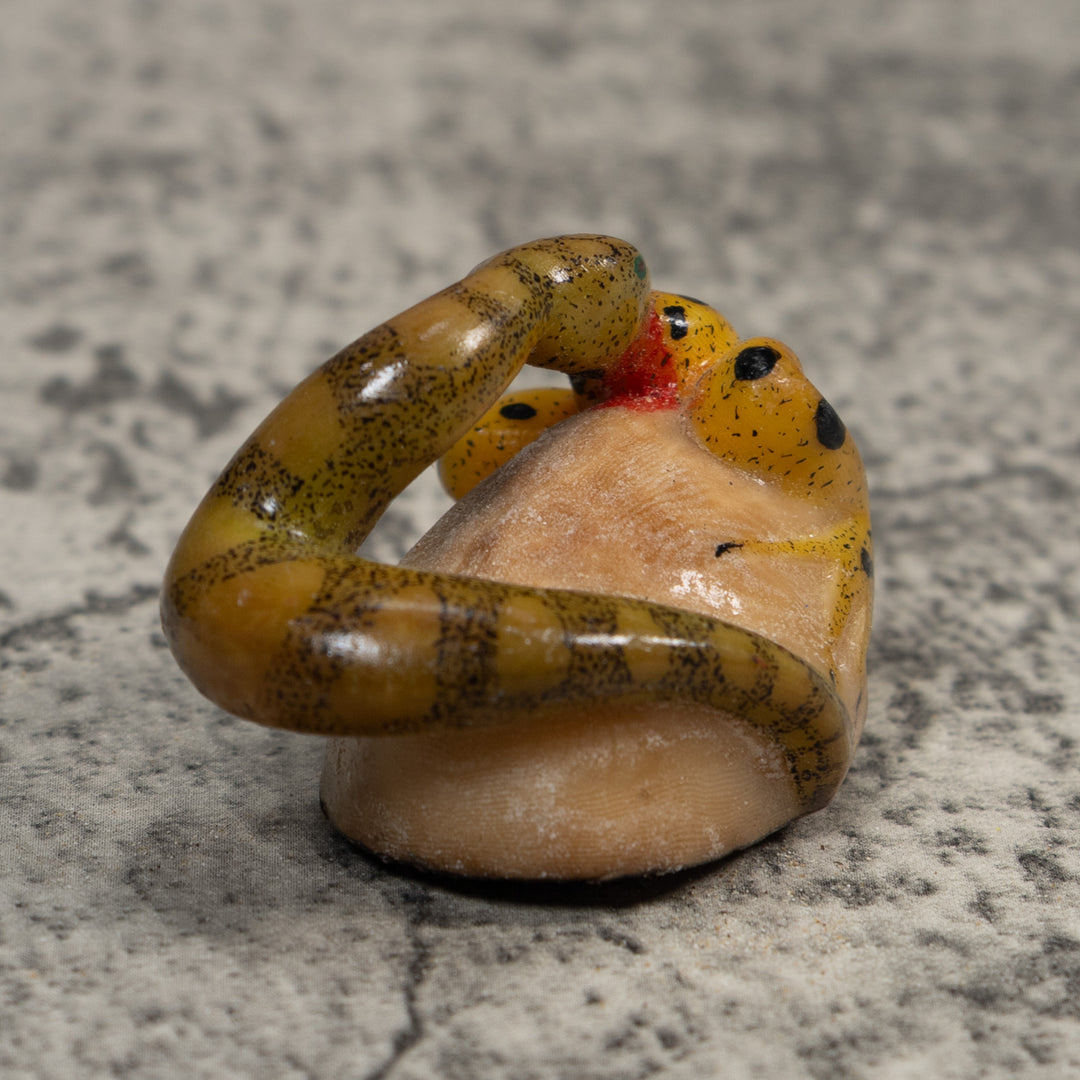 Vintage Snake Eating Frog Tagua Carving