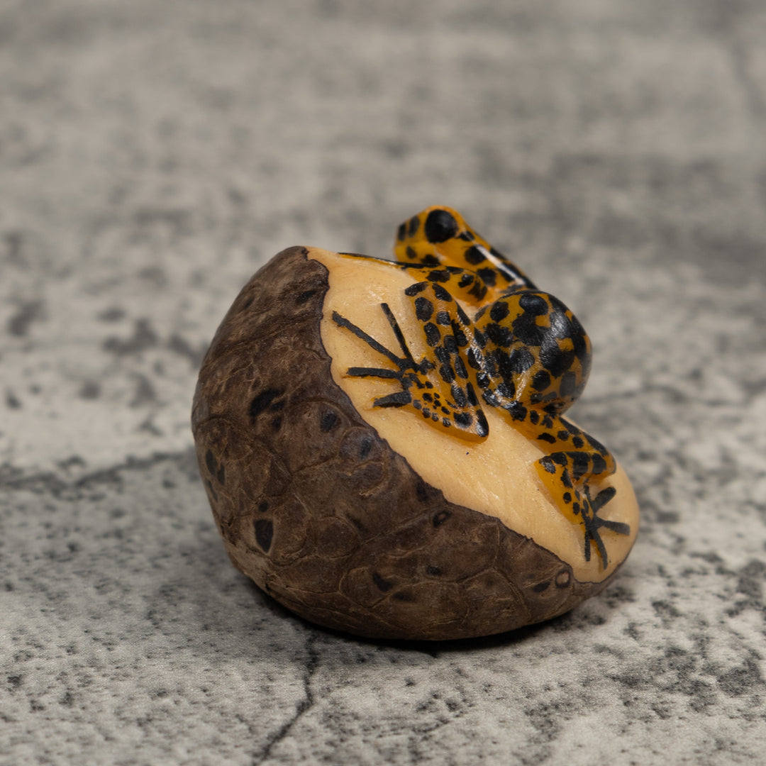 Black And Gold Poison Dart Frog Tagua Carving