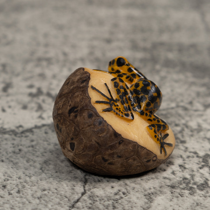 Black And Gold Poison Dart Frog Tagua Carving
