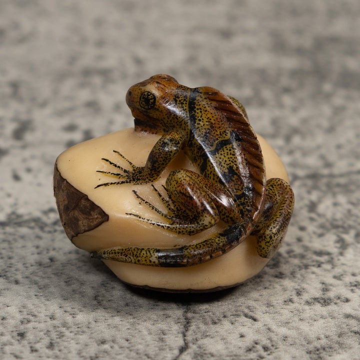 Brown And Black Iguana Lizard Tagua Carving