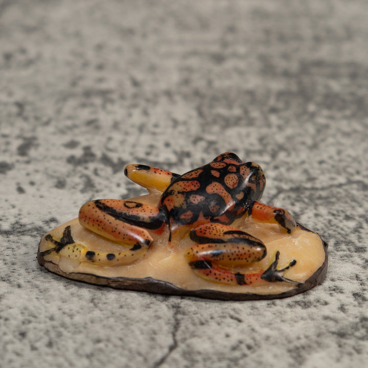 Gold And Black Poison Dart Frog Tagua Carving
