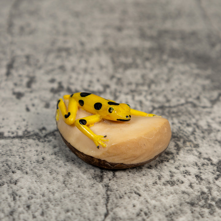 Golden Frog Tagua Carving
