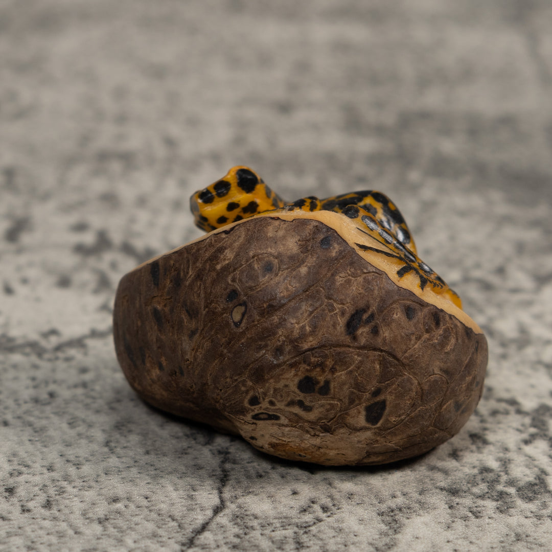 Black And Gold Poison Dart Frog Tagua Carving