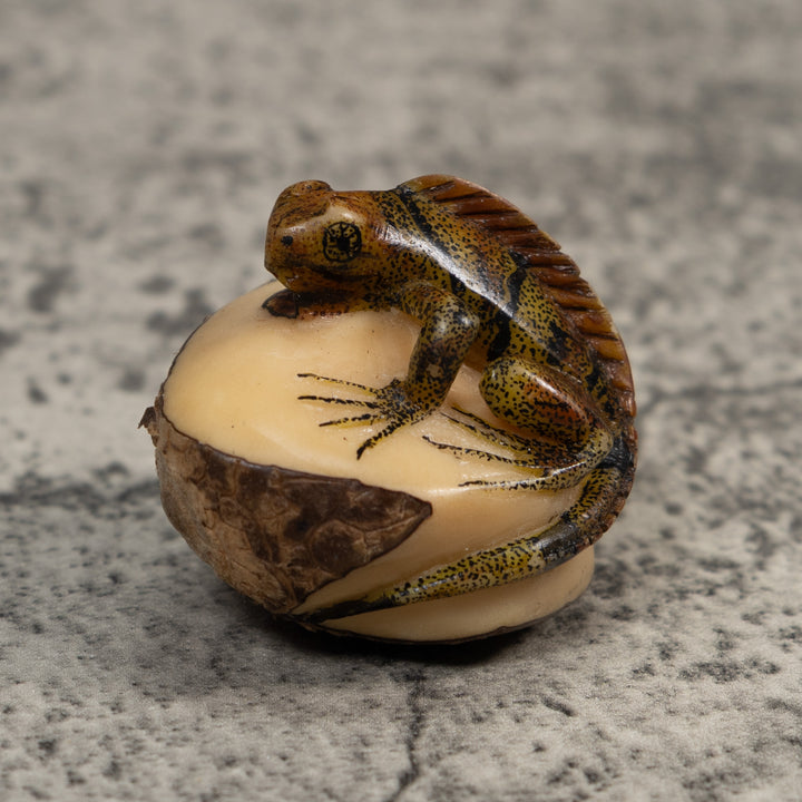 Brown And Black Iguana Lizard Tagua Carving