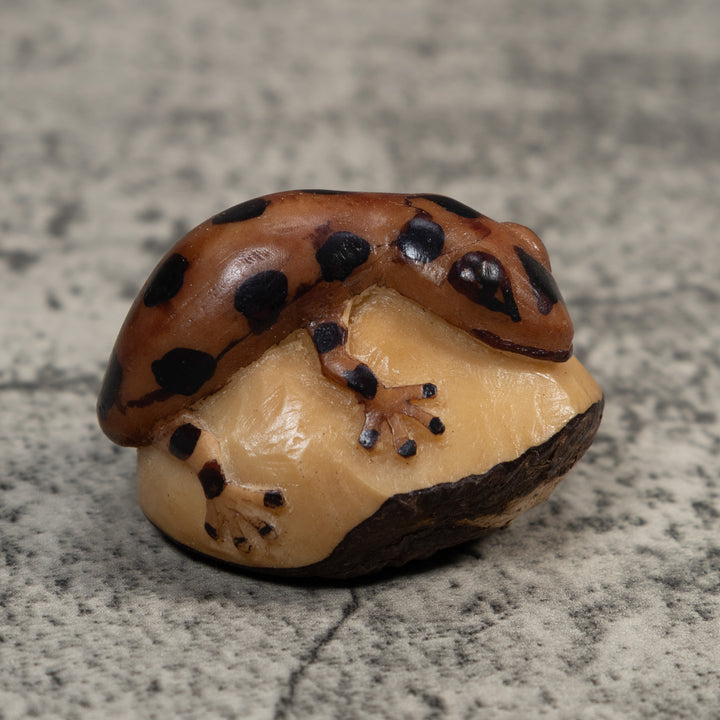 Brown And Black Gecko Lizard Tagua Carving