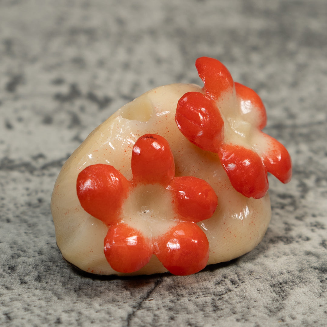 Double Orange Flower Petals Tagua Carving