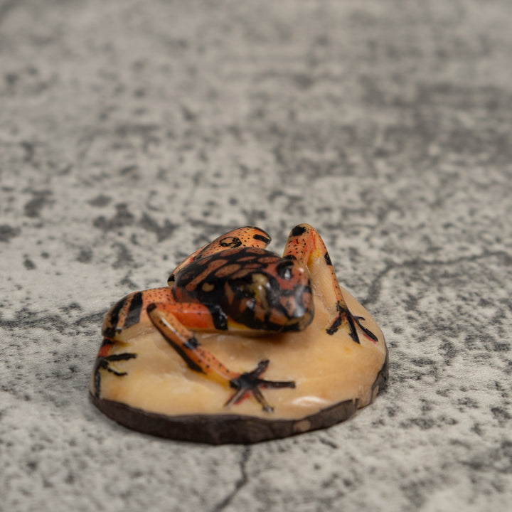 Gold And Black Poison Dart Frog Tagua Carving