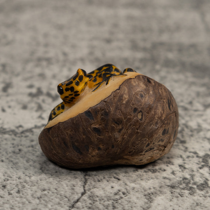 Black And Gold Poison Dart Frog Tagua Carving