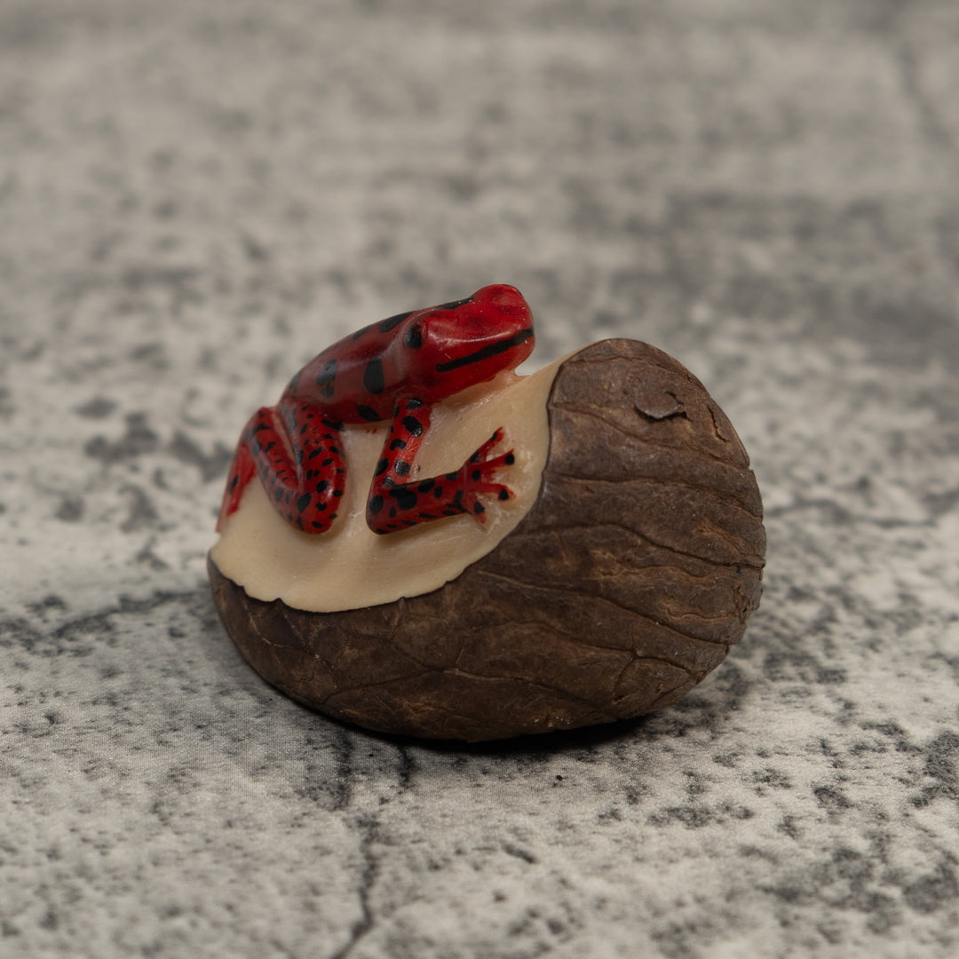 Red And Black Poison Dart Frog Tagua Carving
