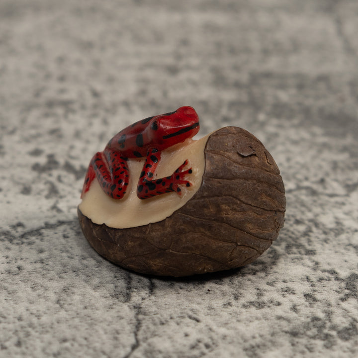 Red And Black Poison Dart Frog Tagua Carving