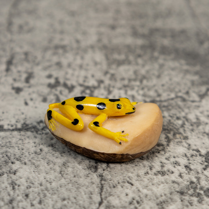 Golden Frog Tagua Carving