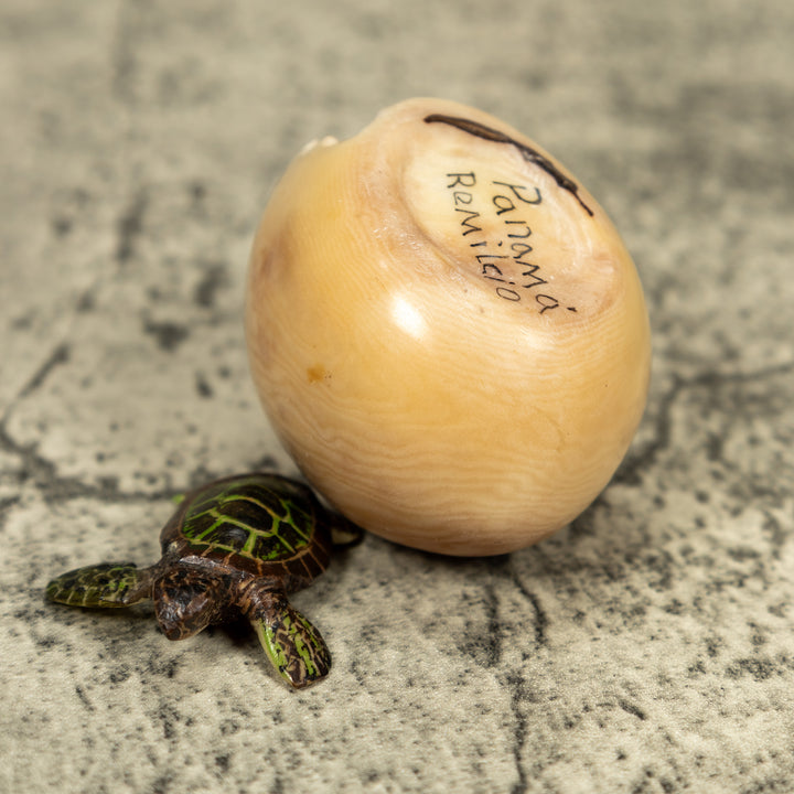 Sea Turtle Emerging From Egg Tagua Carving