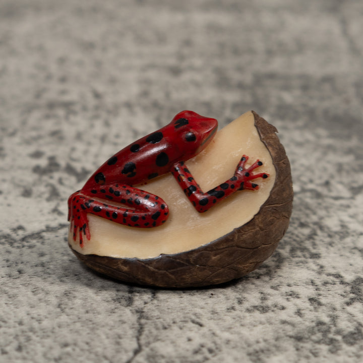 Red And Black Poison Dart Frog Tagua Carving