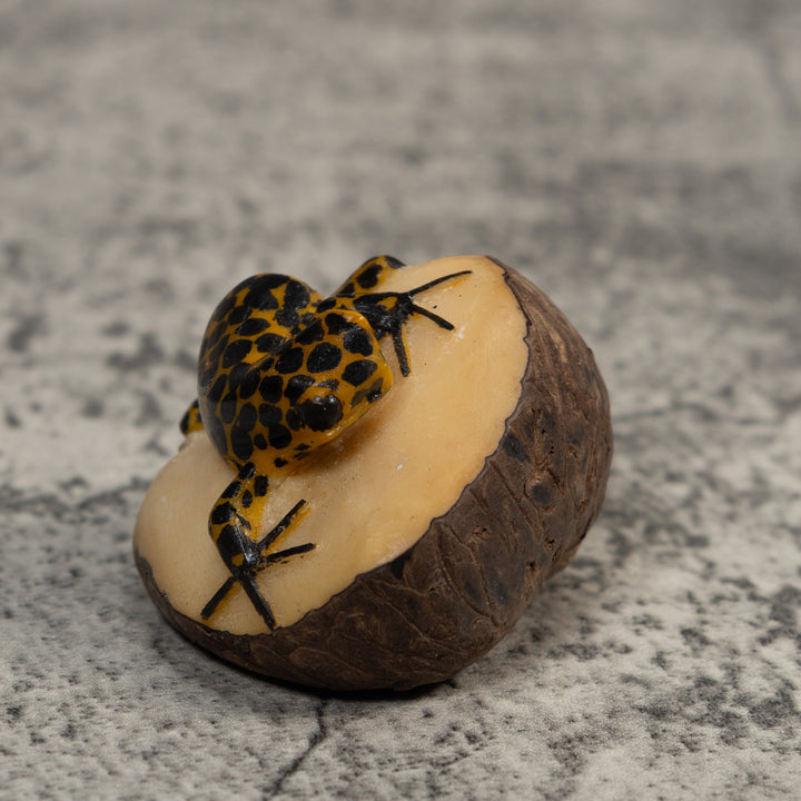 Black And Gold Poison Dart Frog Tagua Carving