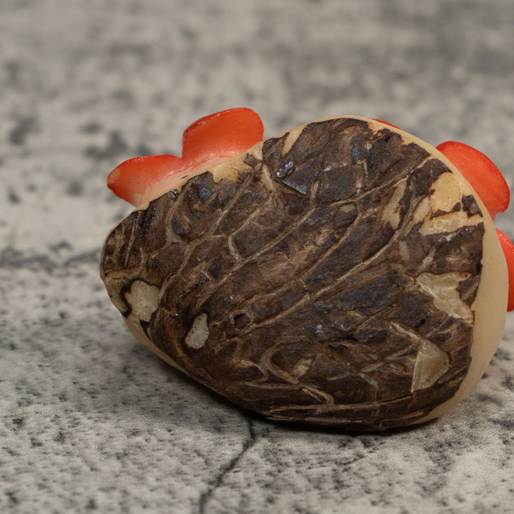 Double Orange Flower Petals Tagua Carving