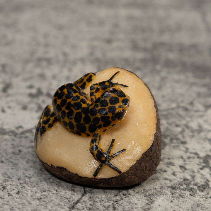 Black And Gold Poison Dart Frog Tagua Carving