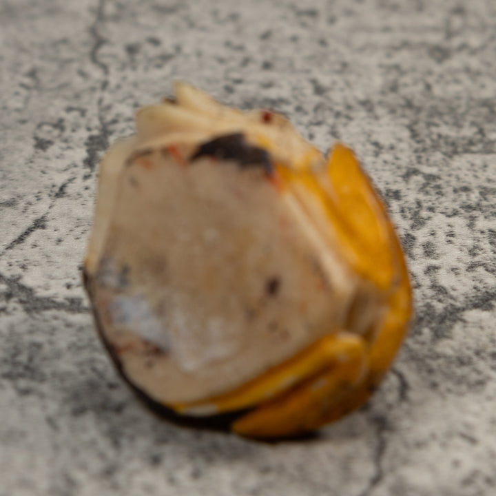 Sprinkled Orange Poison Dart Frog Tagua Carving