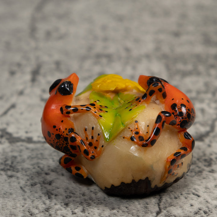 Orange And Black Double Poison Dart Frog Tagua Carving