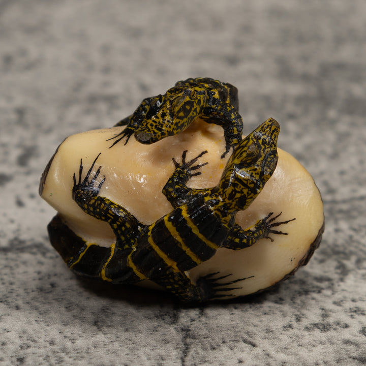 Double Alligator Crocodile Tagua Carving