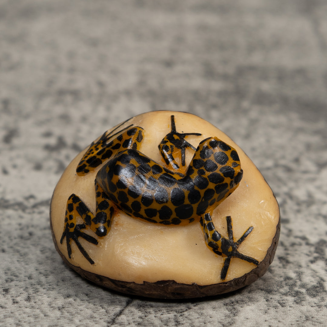 Black And Gold Poison Dart Frog Tagua Carving