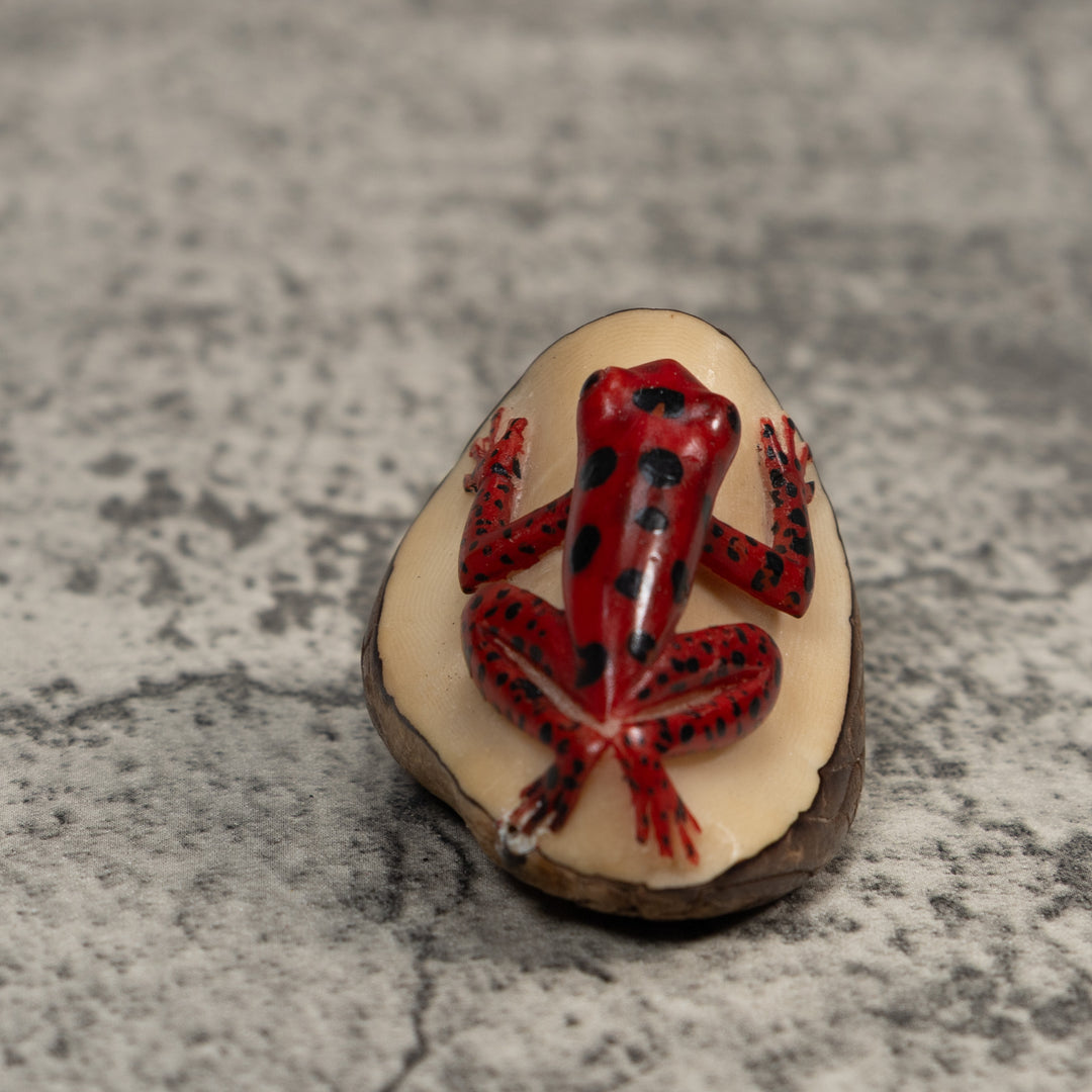 Red And Black Poison Dart Frog Tagua Carving