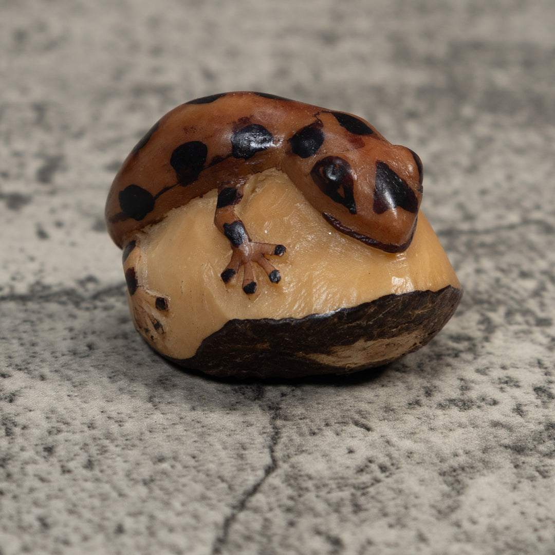 Brown And Black Gecko Lizard Tagua Carving