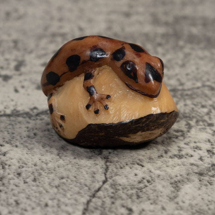 Brown And Black Gecko Lizard Tagua Carving