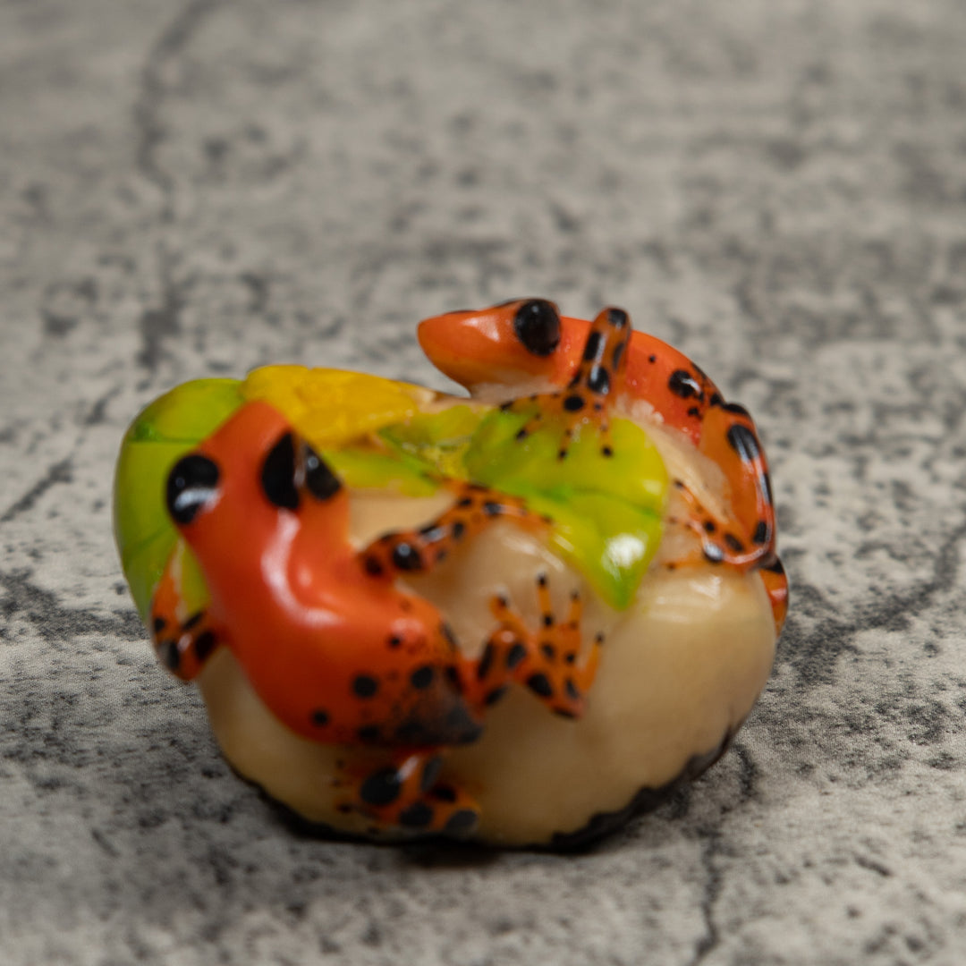 Orange And Black Double Poison Dart Frog Tagua Carving