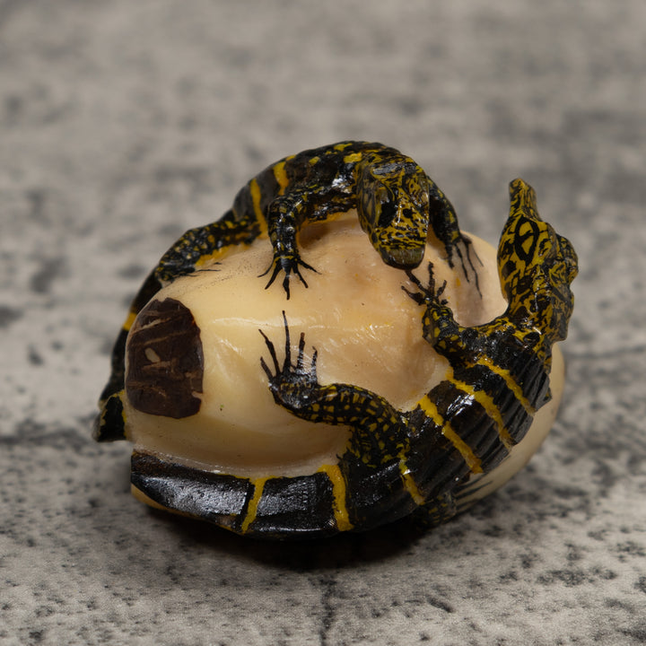 Double Alligator Crocodile Tagua Carving