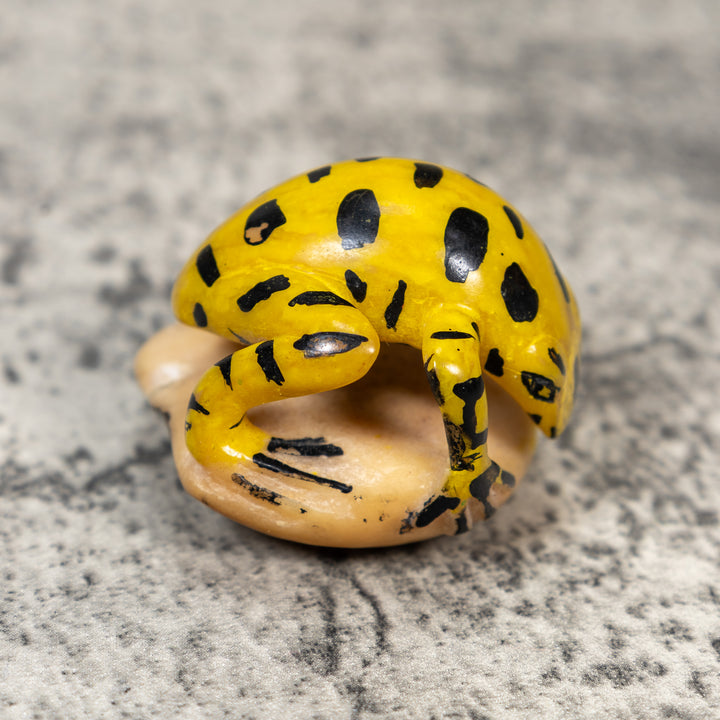 Vintage Poison Dart Frog Tagua Carving