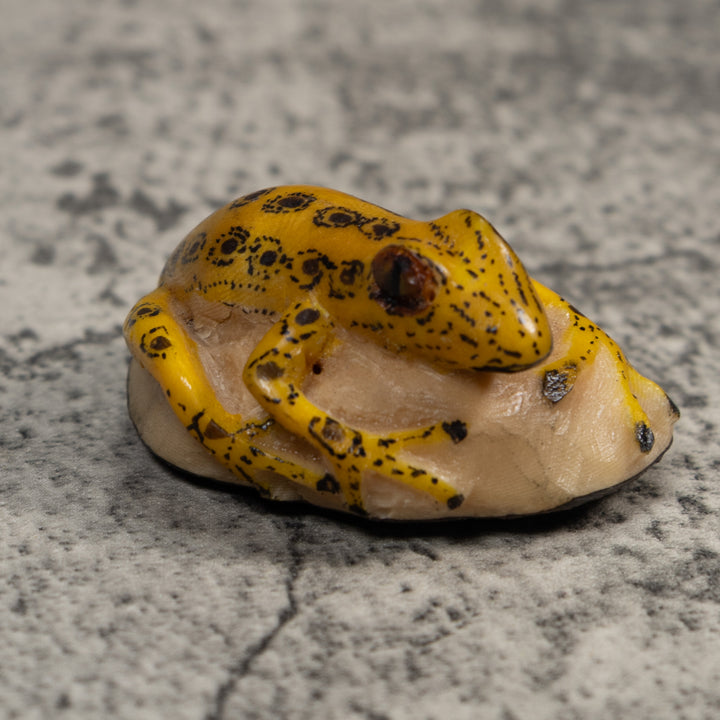 Vintage Yellow And Black Frog Tagua Carving