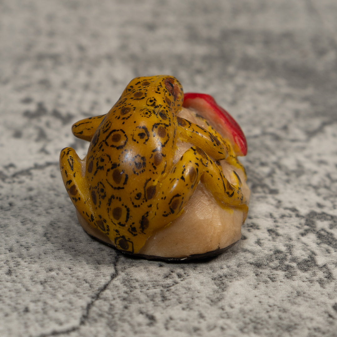 Yellow Black And Red Frog With Foliage Tagua Carving