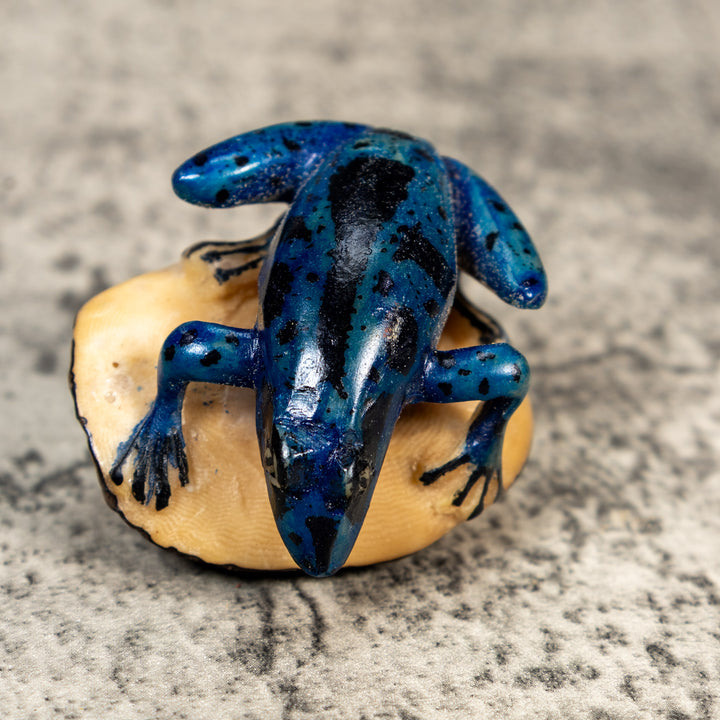 Blue And Black Poison Dart Frog Tagua Carving
