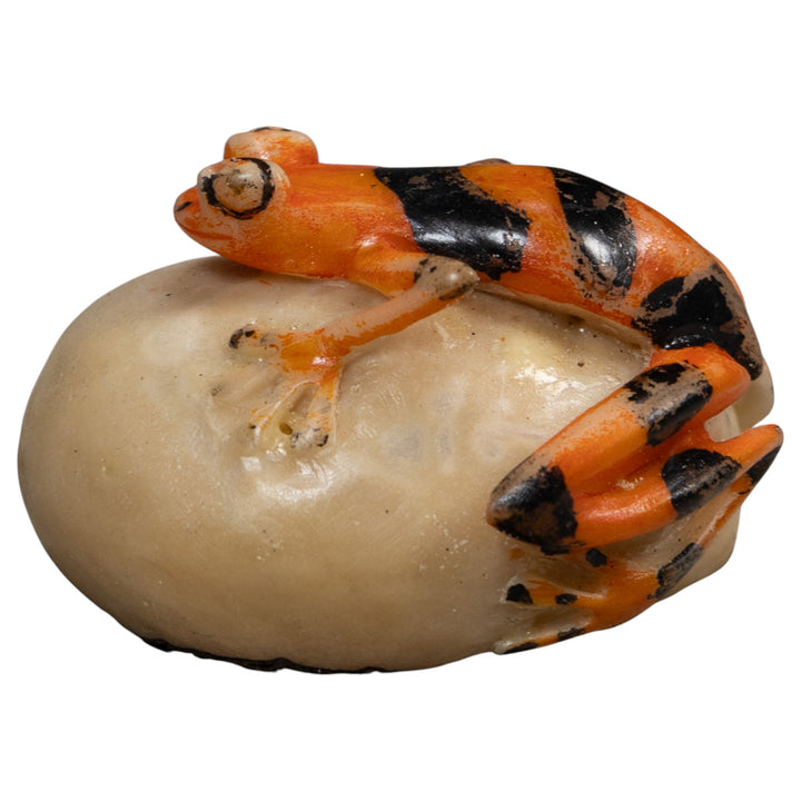 Vintage Orange And Black Poison Dart Frog Tagua Carving