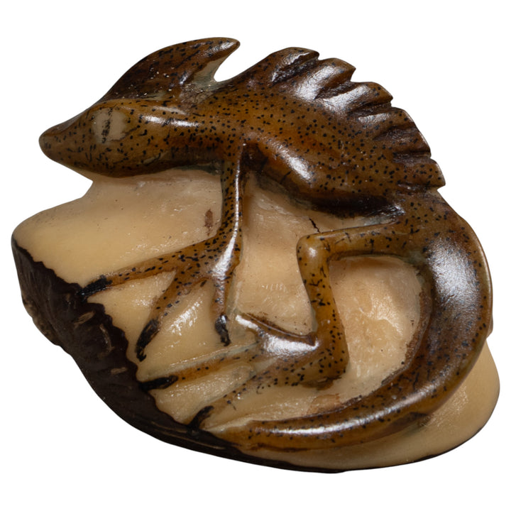 Water Walker Jesus Lizard Reptile Tagua Carving