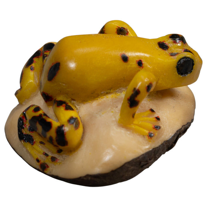 Vintage Black And Gold Poison Dart Frog Tagua Carving