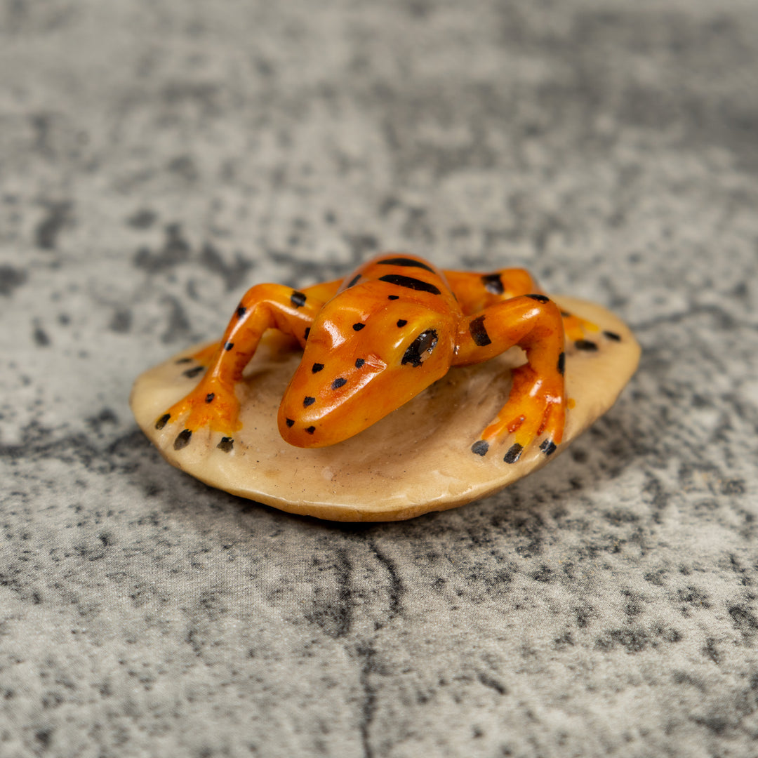 Vintage Orange And Black Frog Tagua Carving