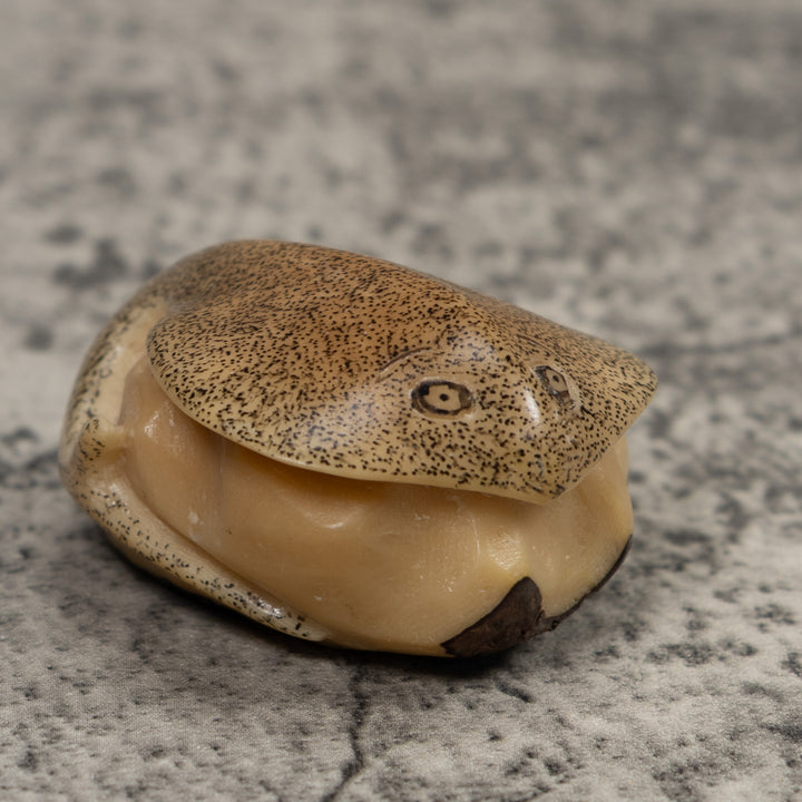Vintage Stingray Tagua Carving