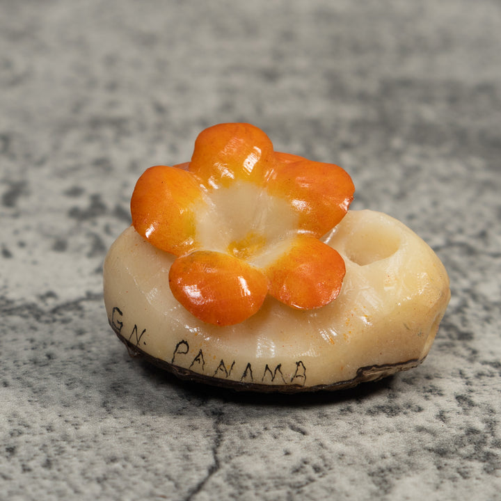 Double Golden Flower Petals Tagua Carving