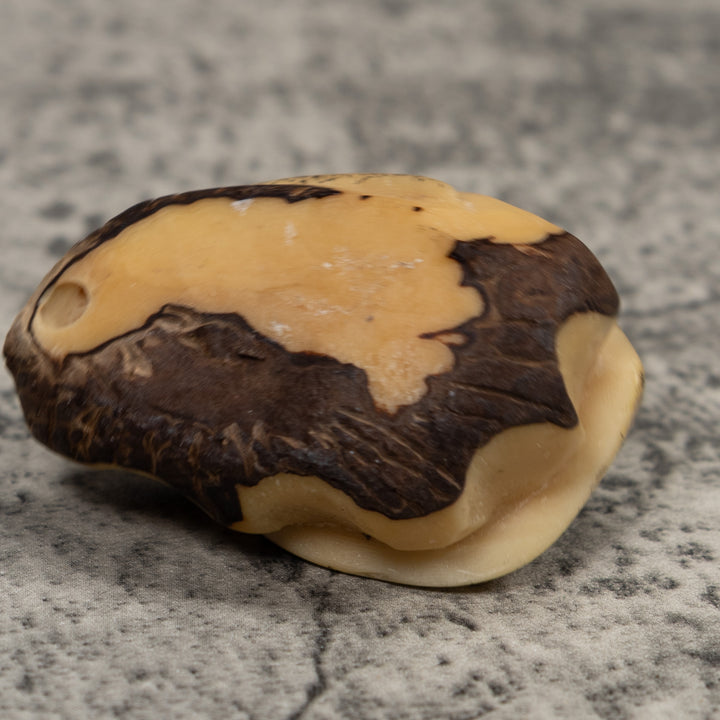 Vintage Stingray Tagua Carving