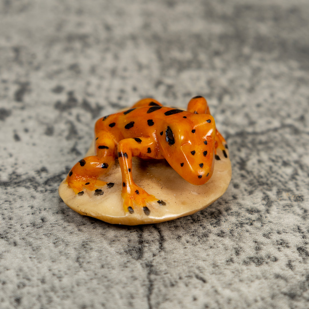 Vintage Orange And Black Frog Tagua Carving