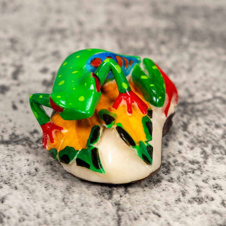 Red-Eye Tree Frog Tagua Carving