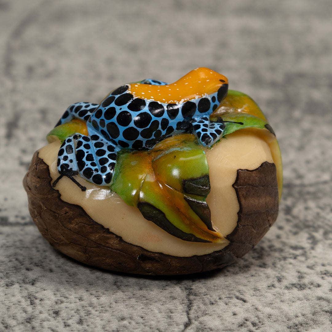 Gold Blue And Black Jungle Frog Tagua Carving