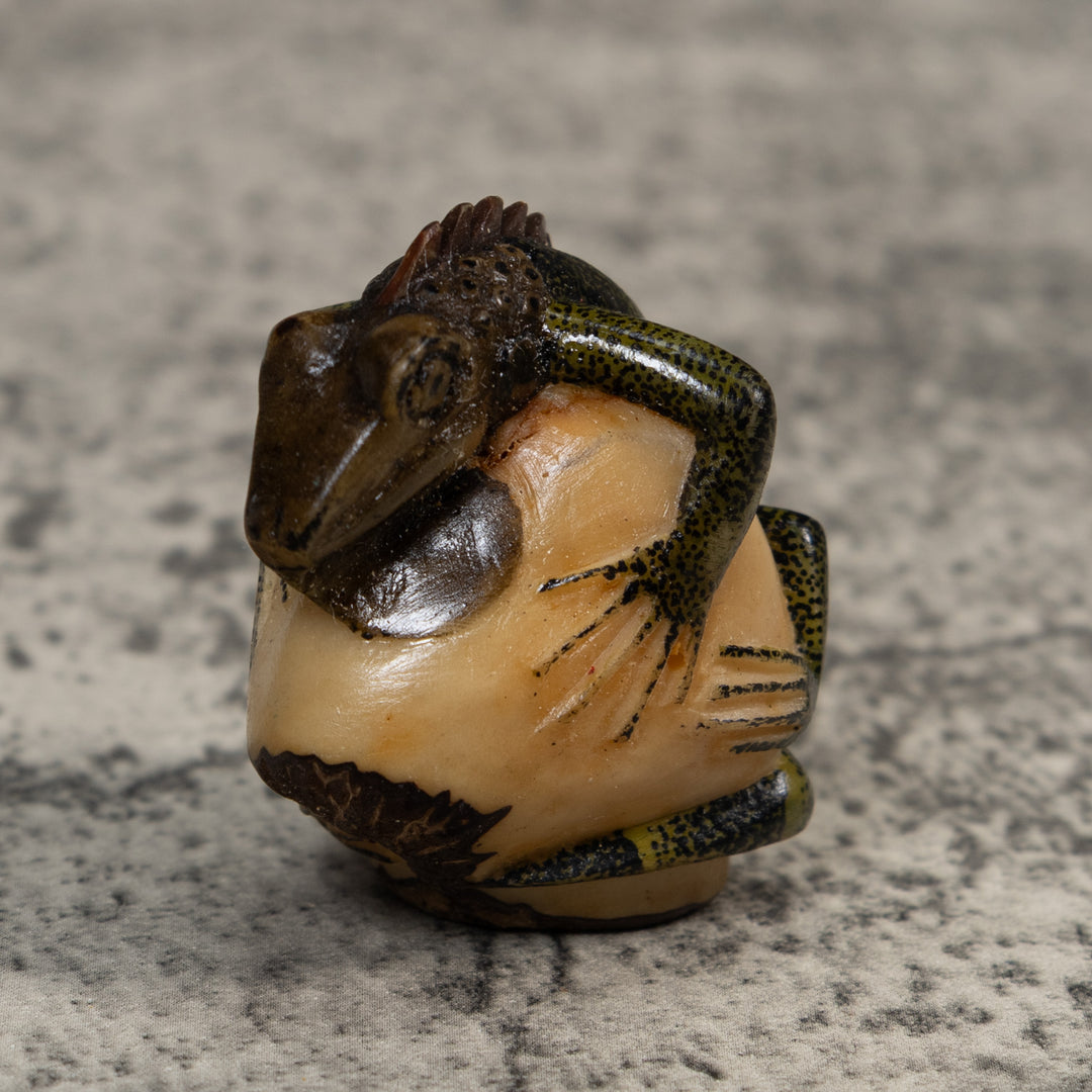 Brown And Black Iguana Lizard Tagua Carving