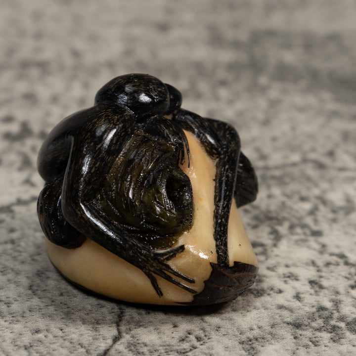 Black Howler Monkey Tagua Carving